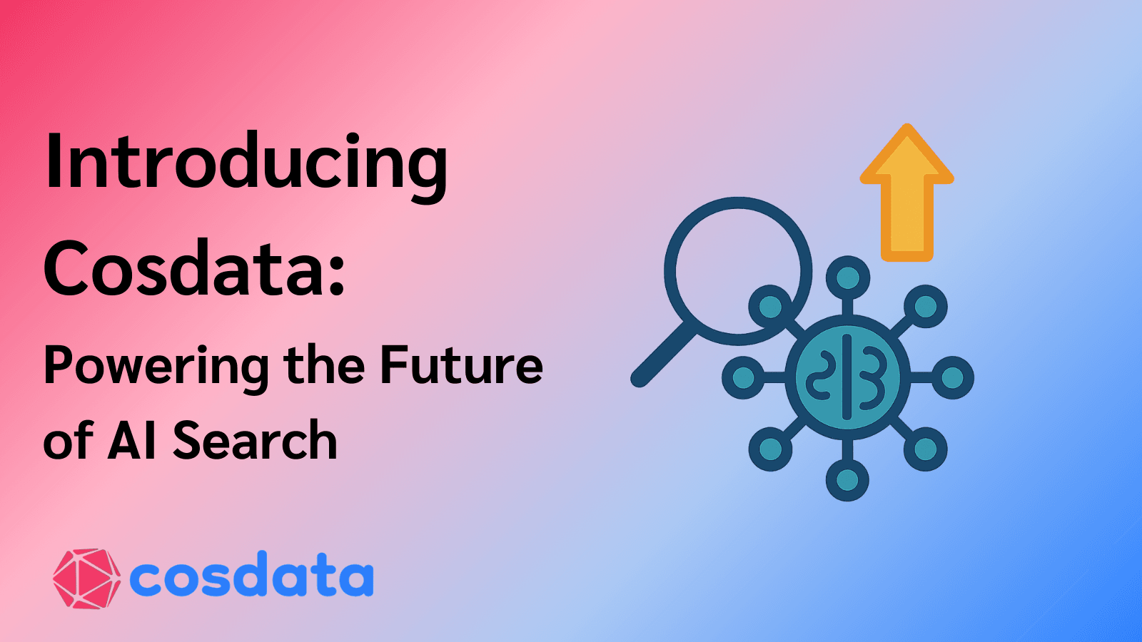 Introducing Cosdata